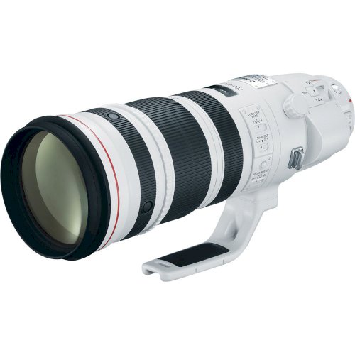 Canon EF 200-400mm f/4L IS USM with Ext 1.4x