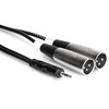 Hosa Technology 3.5mm Stereo Mini-Phone Male to 2x XLR Male Y-Cable (9.9ft/3m)