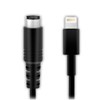 IK Multimedia Lightning to Mini-DIN Cable for Select iRig Devices (60cm)