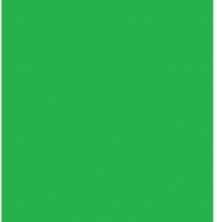 Glanz Muslin Chroma-Key Green Background Sheet (3 x 6m) ST SWGRN Videoguys  Australia
