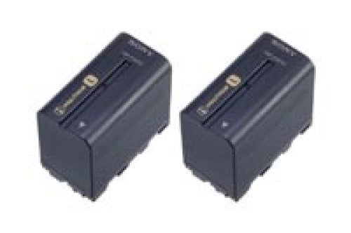 Sony NPF-970 Twin Pack batteries