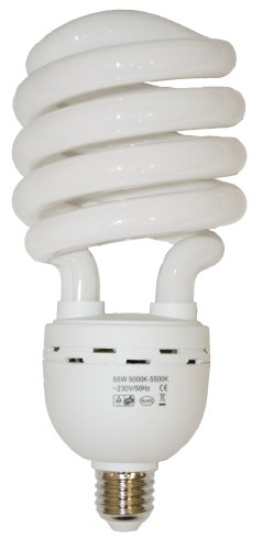 Falcon Eyes 55 WATT CFL Bulb (1 Bulb)