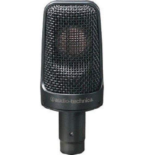 Audio-Technica AE3000 Large-Diaphragm Cardioid Instrument Microphone