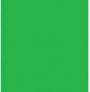 Glanz Muslin Chroma-Key Green Background Sheet (3 x 6m)
