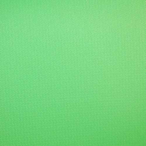 Savage #46 Vinyl Chroma Green Backdrop (3.04m x 6.09m)